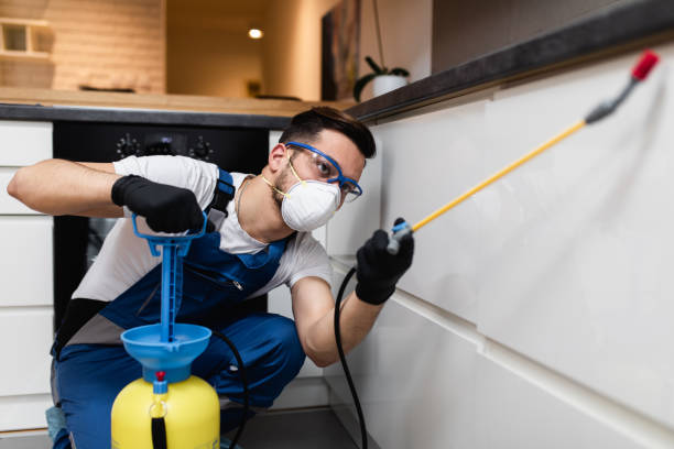 Best Local Pest Control Services  in Rose Hills, CA