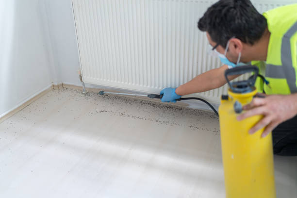Best Affordable Pest Control Services  in Rose Hills, CA